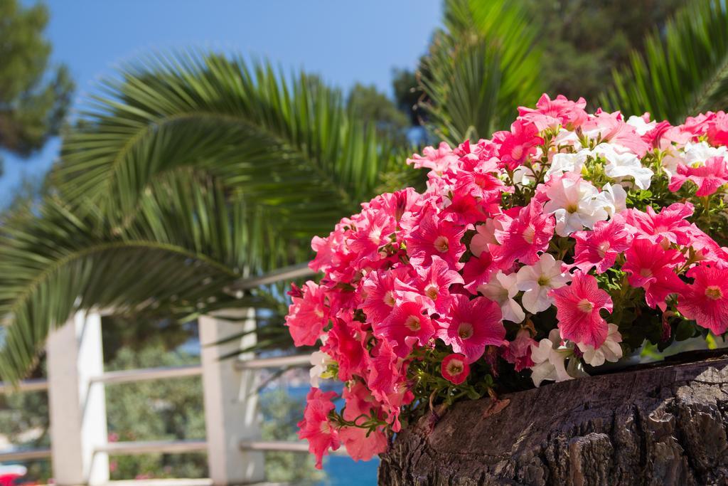 Apartments Villa Julija Mali Lošinj Eksteriør bilde