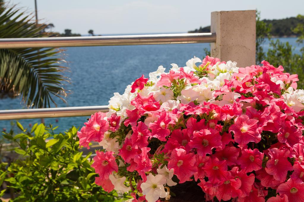 Apartments Villa Julija Mali Lošinj Rom bilde